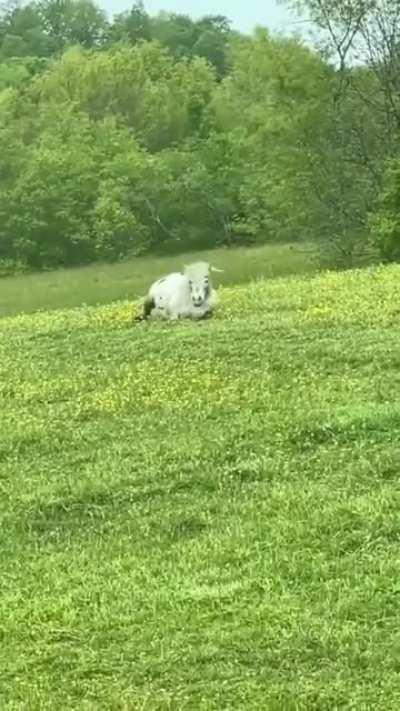 My dude is really jamming out in the field there