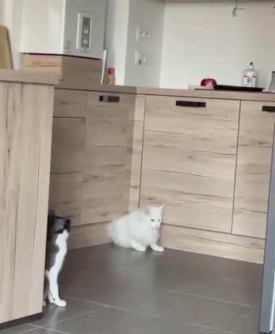 They really ARE liquid