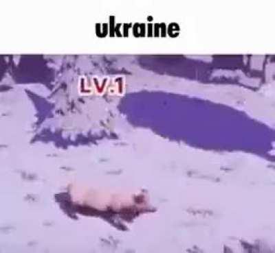 🇺🇦ukraine🇺🇦