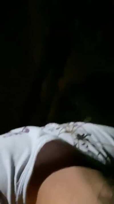 Rescuing a Huntsman from my wife’s car. NSW Australia 😆