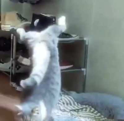 Charging in the morning