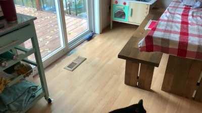 Floppy fish goooooooooooo