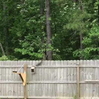 I'm 15 and this is yeet