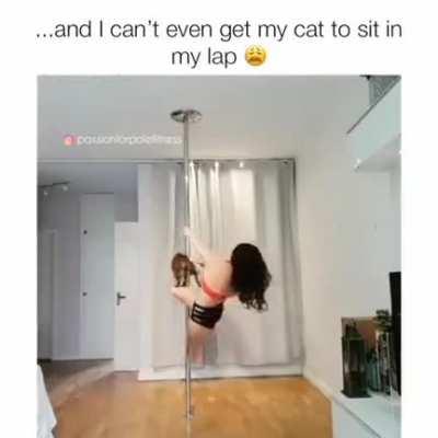 A pole dancer cat 😻😻😻
