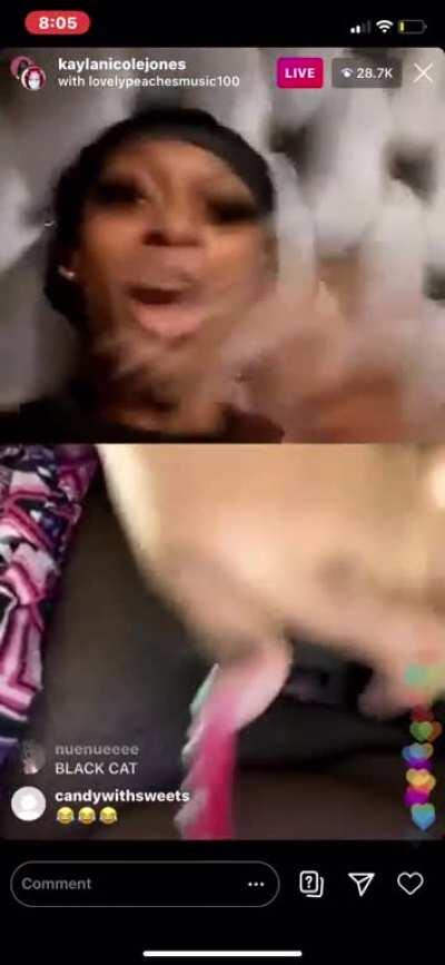 Peaches newest edition 🥰🥰