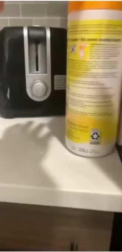 That's where the robbers are hiding