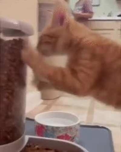 What is this invisible barrier!