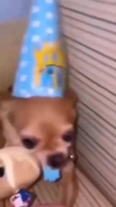 He said hold up bruh