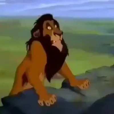 Bonario comedor de cu