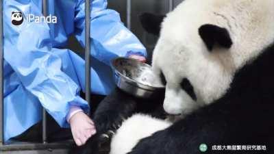 The most relaxed parents ever