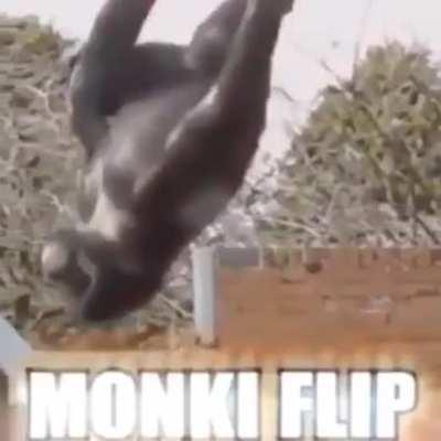 Preguiça de escrever um título