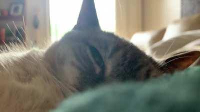 “Is anyone hungry?”