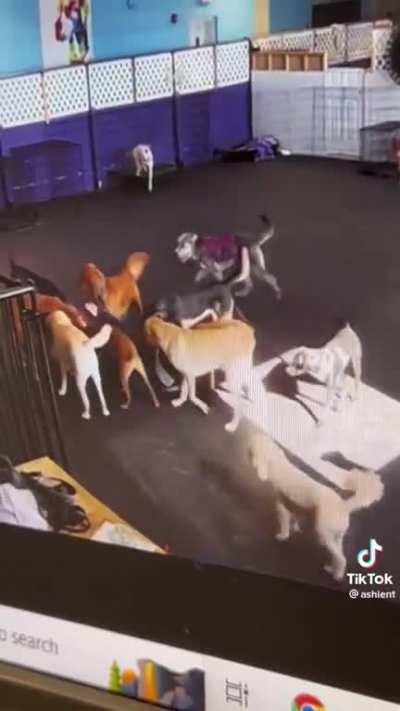 Are you okay? Are you okay? Are you okay? Are you okay?