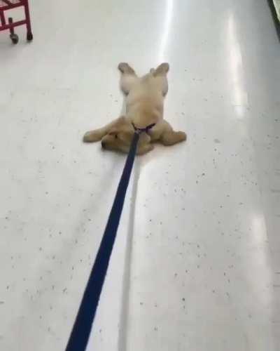 Fine...I’ll Just Take A Nap