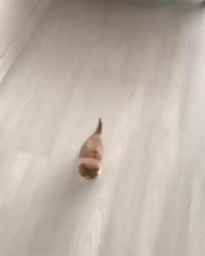 Criminal doing an escape!