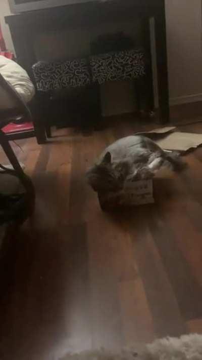 Where there’s a will, there’s a way