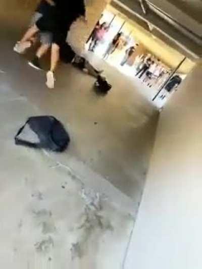 Crazy School Fight