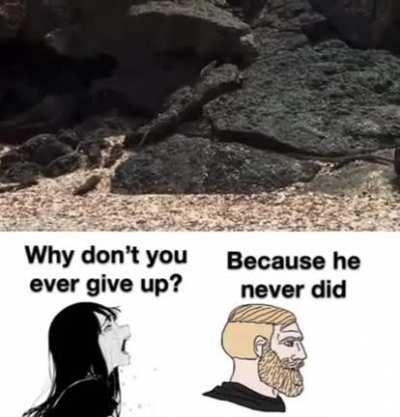 Something to cheer up pepole on dis sub