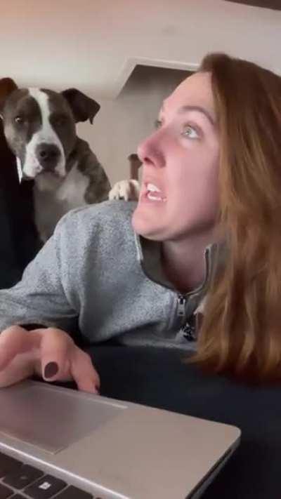 Productivity at an all time low. Coworker won’t leave me alone ♥️ “I said IM WORKING 🗣️”