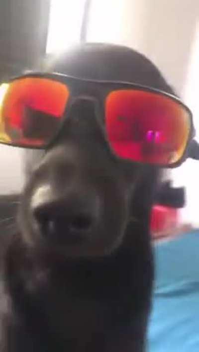 cuidado chat, ele tem o molho