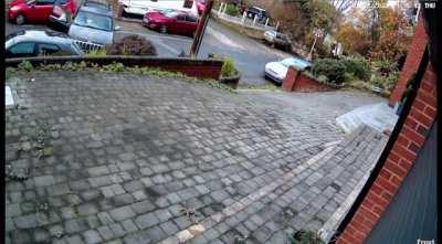 What a ruff moment: dog gets behind the wheel of a Jeep and crashes