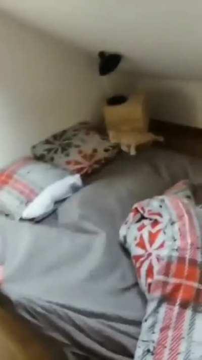 He enjoying this too Much LOL