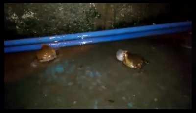 My favorite scene from episode 3