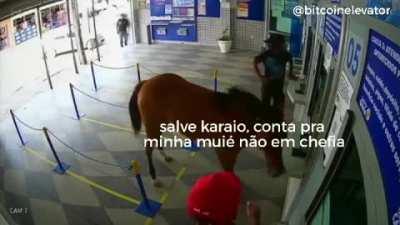 Em qual você investiu, Muquinha?