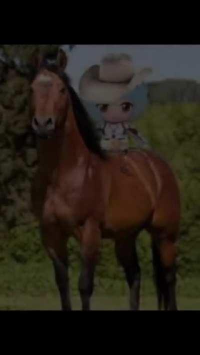 the most epic video you will see in your life