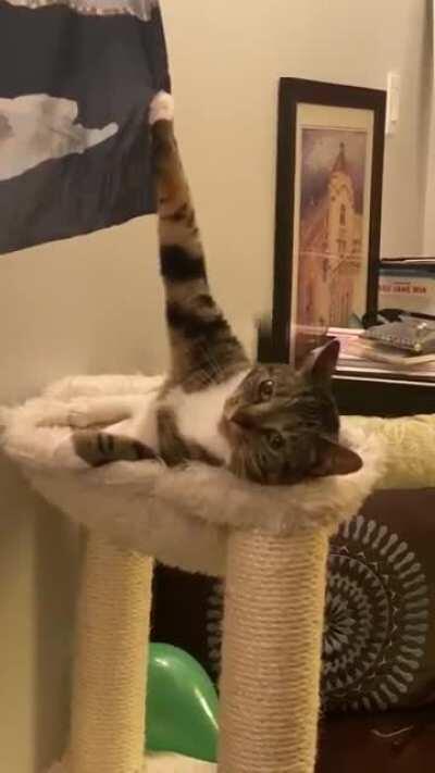 This is fine everything is fine