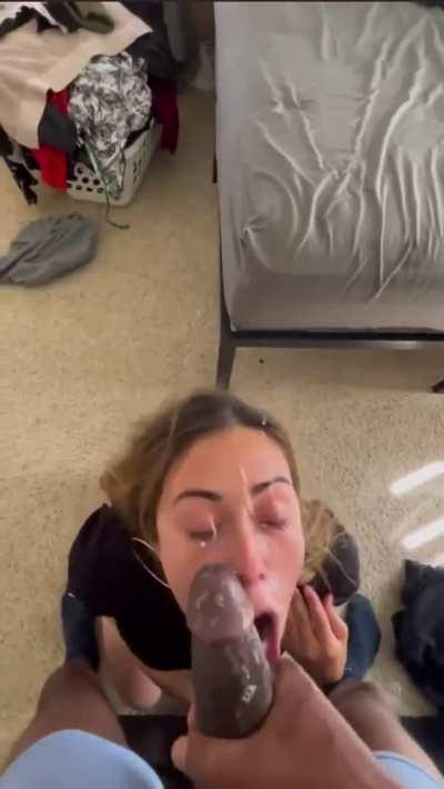 BBC GIF by mrlancast72