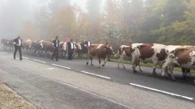 The Desalpes this morning in Le Brassus, Switzerland