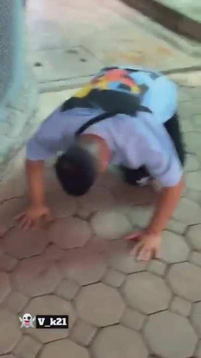 To take a picture with the tiger