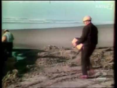 WCGW trying to blow up a whale carcass?