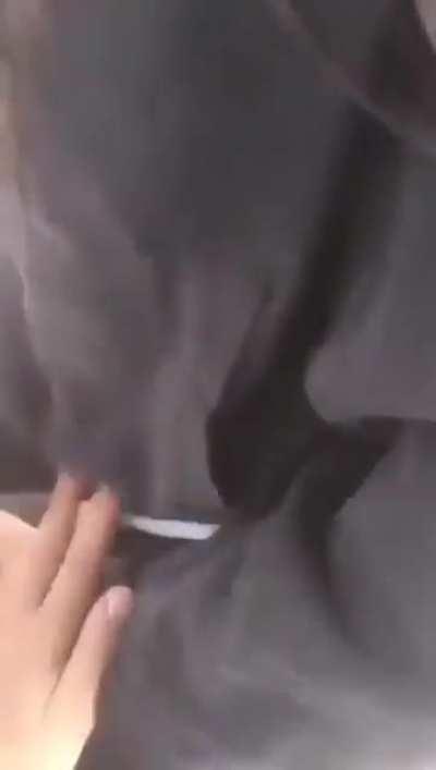 off amk şunun devamı olsa bayır domuzu gibi oldum