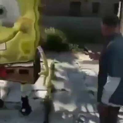 Yee yee ass spongebob edition