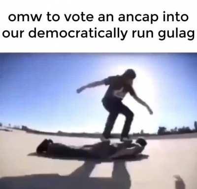 see you later alligator