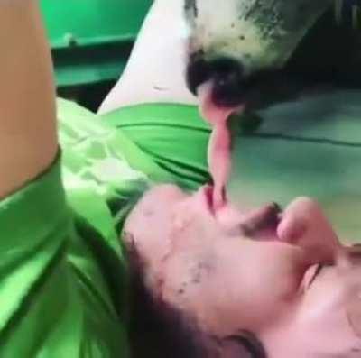 This here's the BUCK CHUG