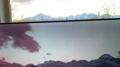 Some mornings I feel like Arthur and the gang might just ride up into my back yard.