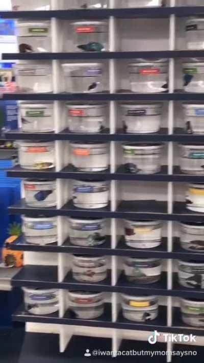 Those poor fish!!! :(((((