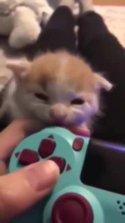 Bebek kedy, sahibinin parmağından bir ısırık alıyor