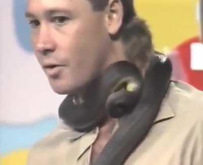 Steve Irwin casually reacts to being bitten by a snake live on Australian TV in 1991.