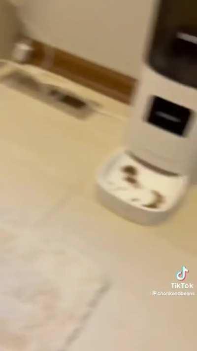 I feel so bad😭😭😭