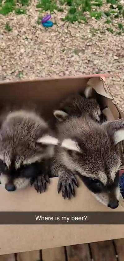 Well my Friday is ruined 