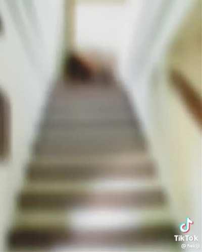 So I found this while scrolling on TikTok (Down D. Stairs reference?!?!?11?11?1?1?11?1!1?11?1)