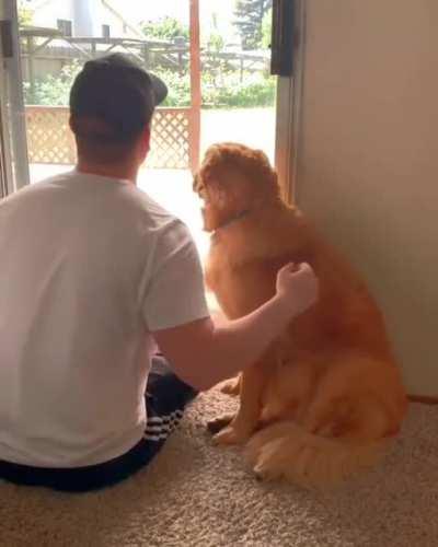 Pupper being mercilessly bamboozled