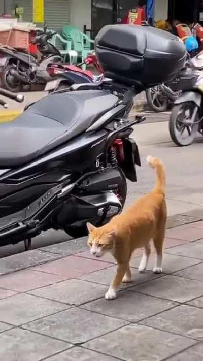 Guess it's time to wash the bike