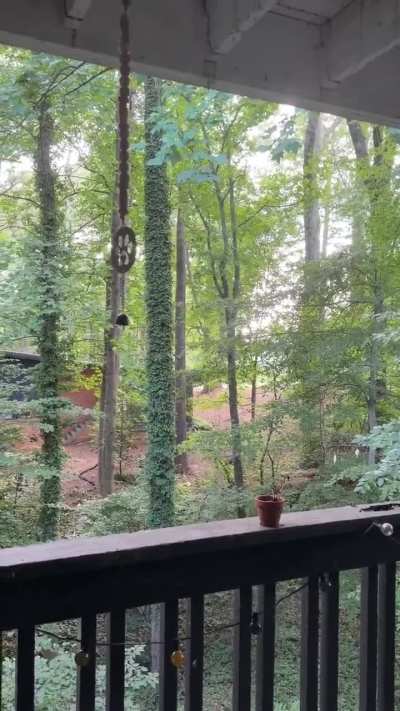 Active shooter reported at Emory Point near the Emory University campus in Georgia