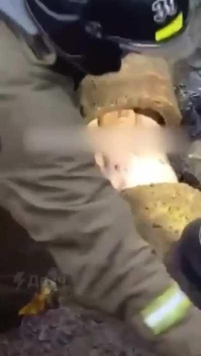 Went down the wrong rabbit hole..