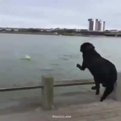 Tobia Sad boi.. fé em deus